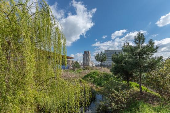 Jardins de La Ligne