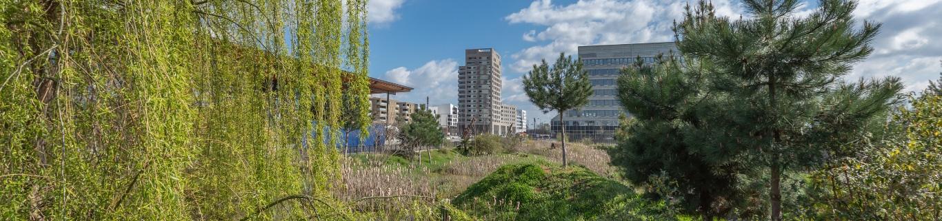 Eco quartier innovant