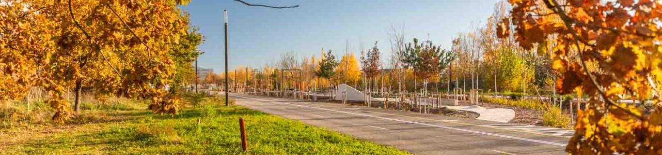 Le parc de la Piste des Géants bientôt prolongé