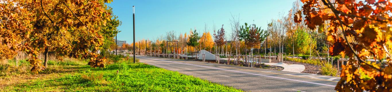 Photo de la Piste des Géants végétalisée