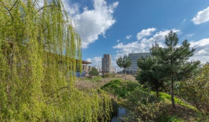 Jardins de la Ligne récompensés