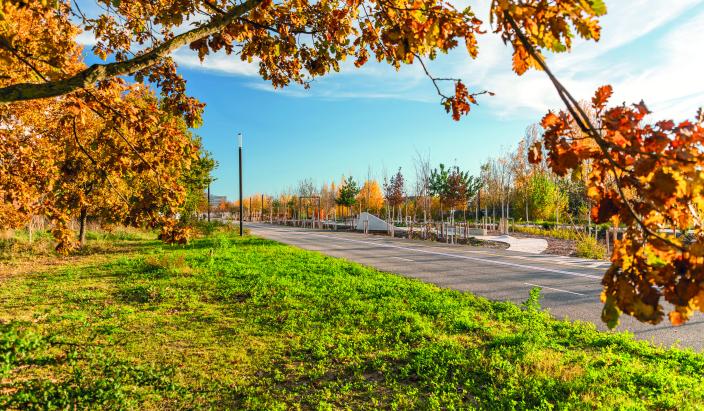 Photo de la Piste des Géants végétalisée