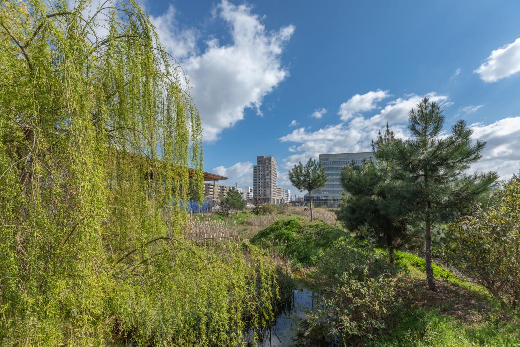 Jardins de la ligne